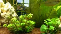 aquarium-von-seegeist-becken-22703_