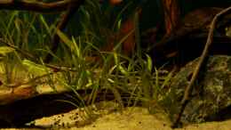 aquarium-von-die-perle----rio-formoso_