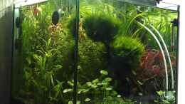 aquarium-von-el-hein-the-kitchen-tank_