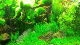 aquarium-von-panamericana85-a-touch-of-nature_