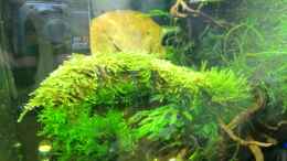 aquarium-von-walde-becken-23562_14.10