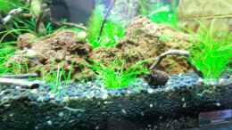 aquarium-von-walde-becken-23562_14.10