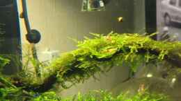 aquarium-von-walde-becken-23562_04.11.2012