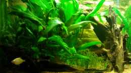 aquarium-von-martin-bolz-becken-23725_