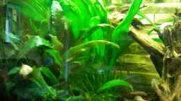 aquarium-von-martin-bolz-becken-23725_