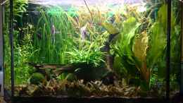 aquarium-von-stephan-gross-becken-25103_