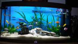 aquarium-von-christoph-schroll-becken-25125_Alles drauf :)