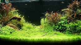 aquarium-von-torsten-thiel-becken-25160_