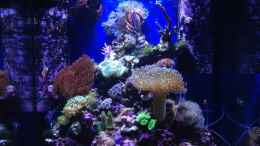 aquarium-von-mw-luca-little-sea_