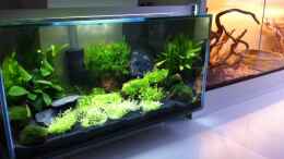 aquarium-von-thomas-limberg-fluval-edge_