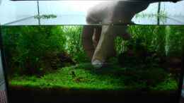 aquarium-von-cantiga-becken-25322_