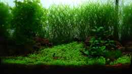 aquarium-von-cantiga-becken-25322_