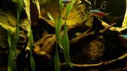 aquarium-von-marco-becken-25592_Detailansicht 11.03.13