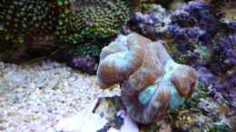 aquarium-von-michael-juenger-becken-25974_