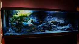 aquarium-von-frank-hopp-becken-26004_