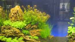 aquarium-von-ron-berlin-becken-27092_20.05.2013 Rechts