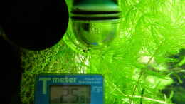 Foto mit Dauertest und Thermometer