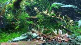 aquarium-von-walde-300er_21.04.2014