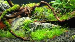 aquarium-von-walde-300er_05.09.2013