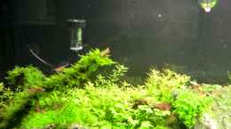 aquarium-von-walde-300er_22.09.2013