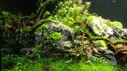 aquarium-von-walde-300er_05.09.2013