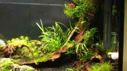 aquarium-von-walde-300er_05.09.2013