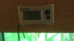 Foto mit Außenthermometer