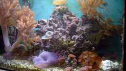 aquarium-von-christian-dresel-becken-2870_