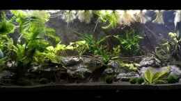 aquarium-von-mark-h--marks-rio240_03.10.2024