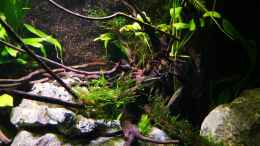 aquarium-von-mark-h--marks-rio240_