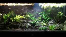 aquarium-von-mark-h--marks-rio240_07.12.2024