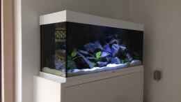 aquarium-von-benjamin-schmider-neustart-malawi_Becken 24.01.2014 noch ohne Besatz