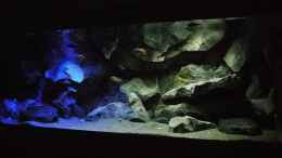 aquarium-von-sven-becken-29067_