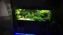 aquarium-von-signo-amazonas-nur-noch-beispiel-abgebaut-10-21_