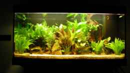 aquarium-von-herbert-spiller-becken-2937_