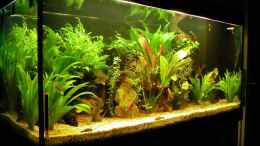 aquarium-von-herbert-spiller-becken-2937_