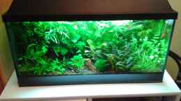 aquarium-von-cafesoleil-becken-30116_update 4.10.14