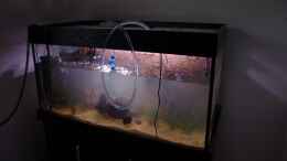 aquarium-von-nobody-becken-30852_