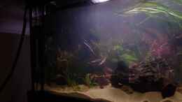 aquarium-von-nobody-becken-30852_