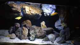 aquarium-von-der-steirer-fade-to-black-aufgeloest_