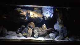 aquarium-von-der-steirer-fade-to-black-aufgeloest_