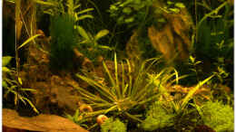 aquarium-von-hotwheelz-becken-31269_Details