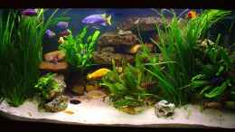 aquarium-von-andrea-wendel-becken-313_