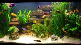 aquarium-von-andrea-wendel-becken-313_