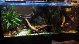 aquarium-von-lars-300l-1--lars-300l-1-_