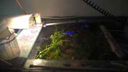 aquarium-von-lars-300l-1--lars-900l_