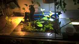 aquarium-von-lars-300l-1--lars-900l_