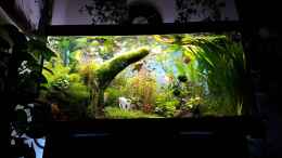 aquarium-von-sebastian-hartmann-gaja_Becken am 30.03.2016