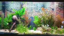 aquarium-von-huni-becken-32241_Aquarium Hauptansicht von Becken 32241