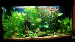 aquarium-von-pitt1platsch-juwel-rio-125---gesellschaftsaquarium_Aquarium Juwel RIO 125 - Gesellschaftsaquarium